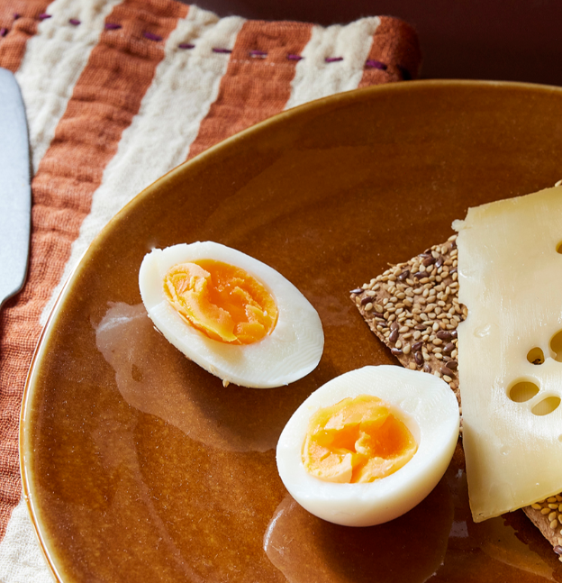 HKLIVING Cotton Napkins in Burgundy or Tangerine Stripe