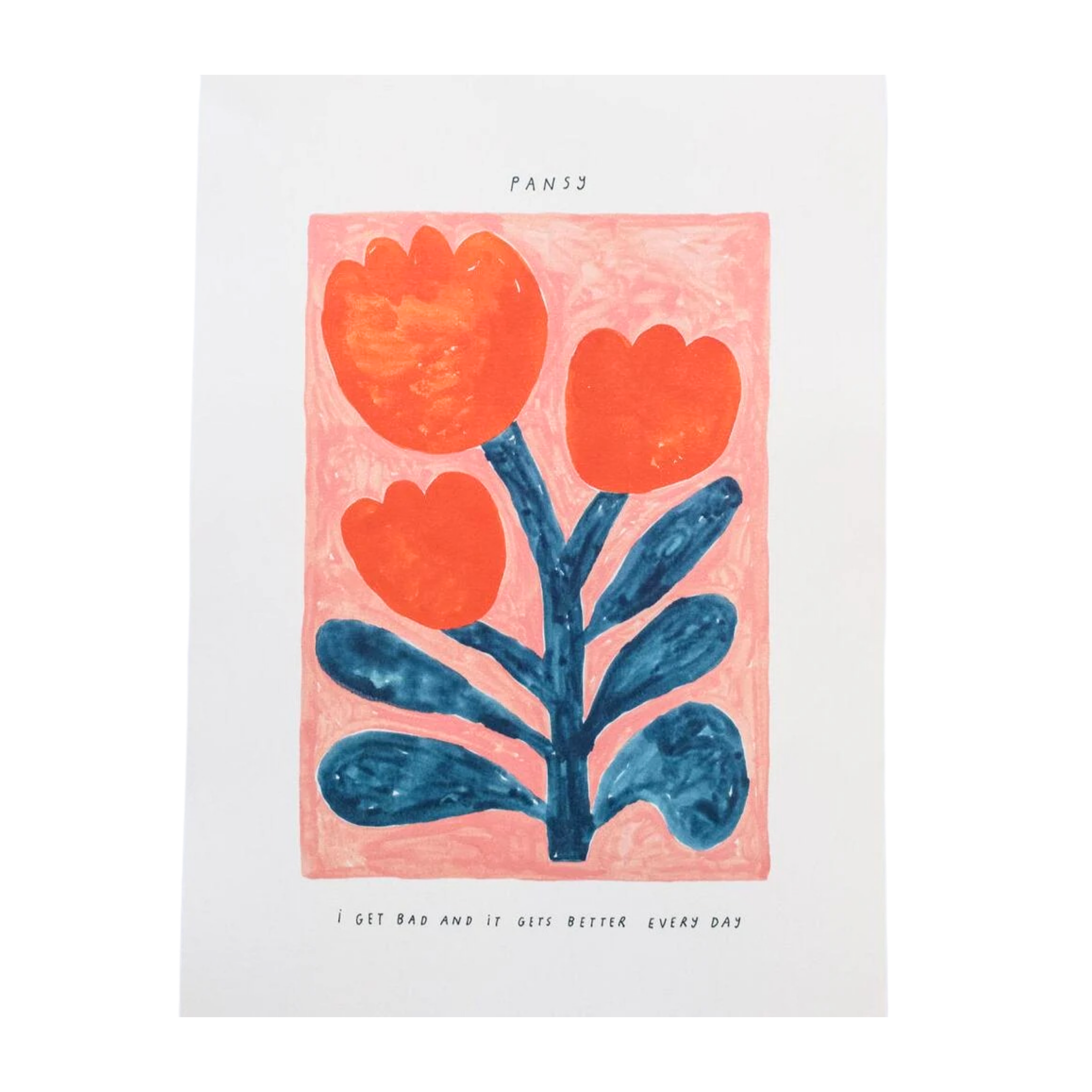 Giant Pansy 'It Gets Better Everyday' A3 Wall Art Print