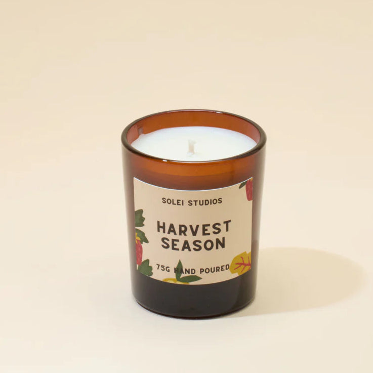 Solei Studios 100% Soy Wax Mini Jar Candles in Various Scents