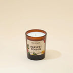Solei Studios 100% Soy Wax Mini Jar Candles in Various Scents