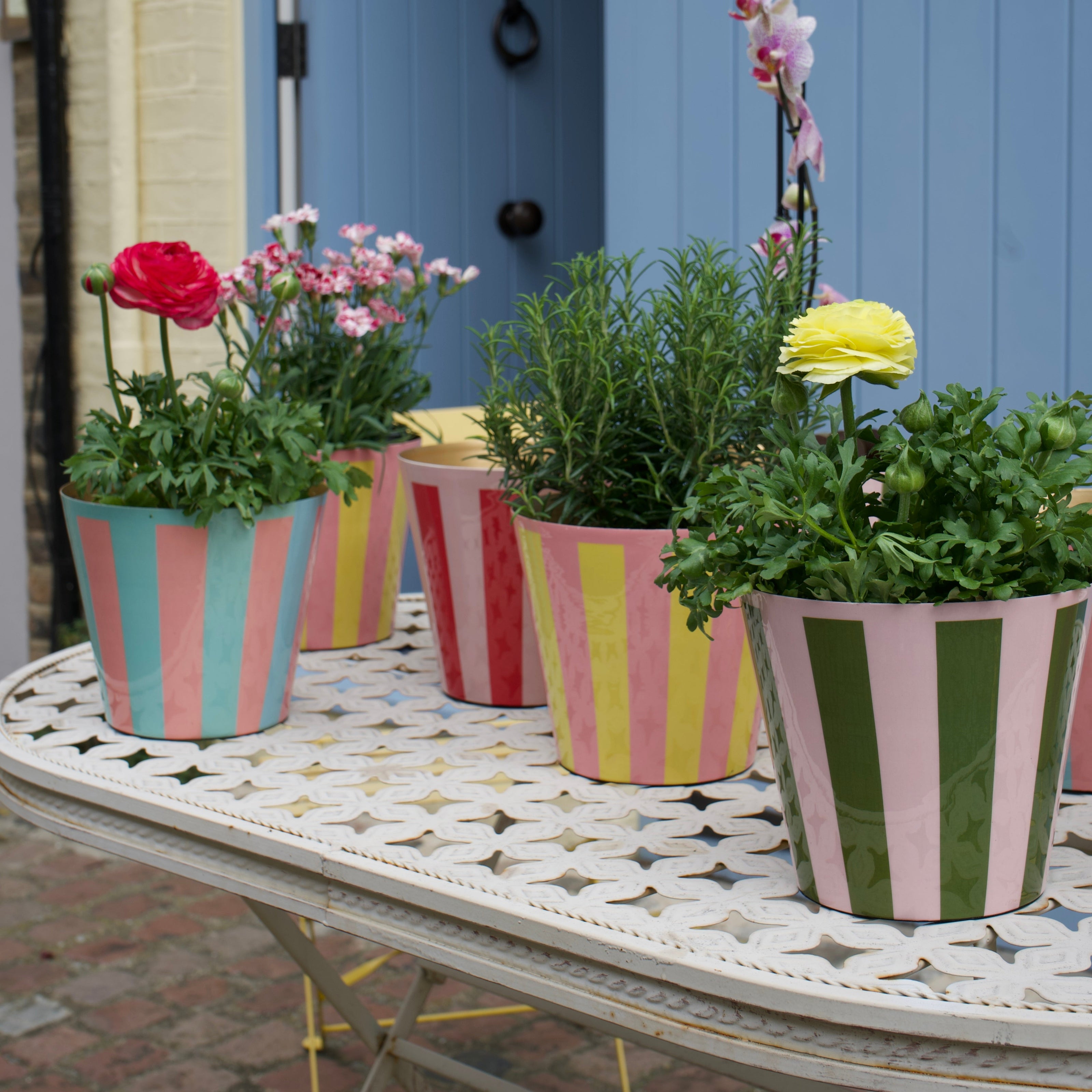 Striped plant pots displayed with plants inside on a garden table