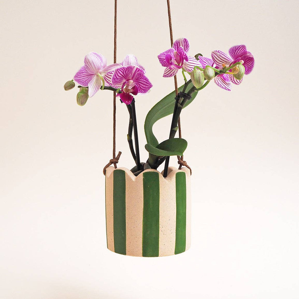 Small striped ceramic vase with pink orchids on a light beige background