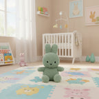 Green plush bunny toy on a white background