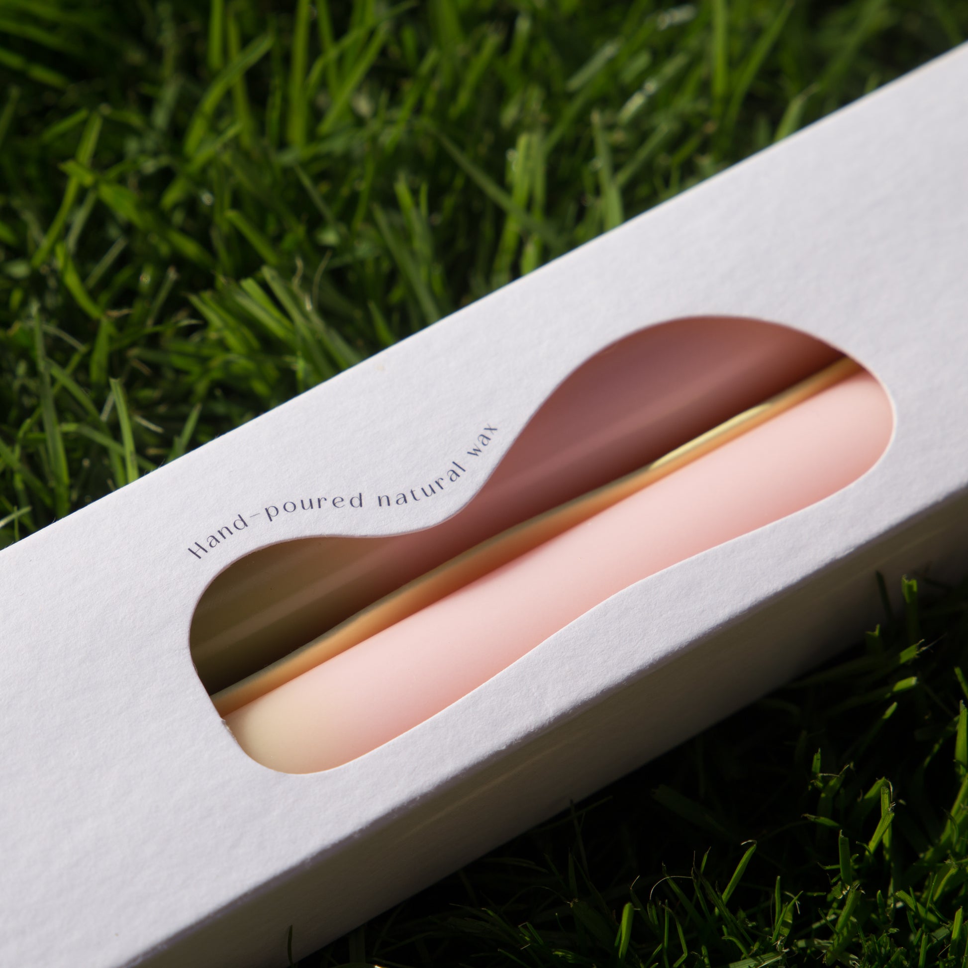 pygmalion dinner candles in pink and green, close up photo of the packaging 